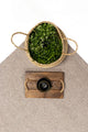 Madam MD 01 Stone Natural Wool Carpet